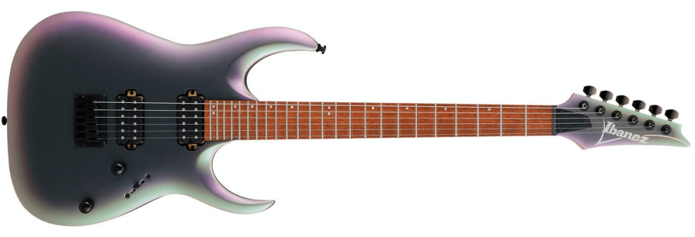Поступление IBANEZ RGA42EX
